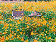 -长广溪湿地公园