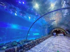 -华夏文旅海洋公园