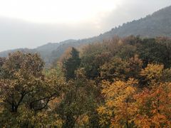 -北京鹫峰国家森林公园