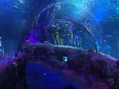 -沈阳海洋探索中心