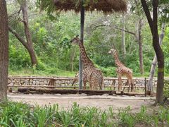 -北京野生动物园