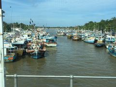 -尼甘布海鲜市场