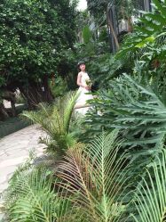 点击看大图 -完美新娘婚纱摄影