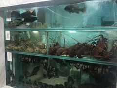 -富临皇宫(窝打老道店)