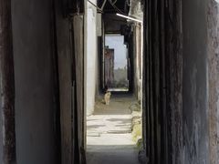 -练塘古镇