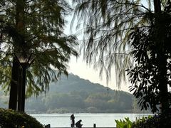 -长广溪湿地公园