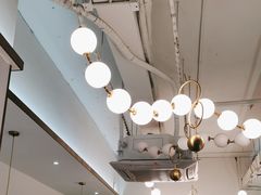 -探窝·竹笙椰子鸡(杨箕店)