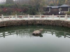 -白马涧龙池景区
