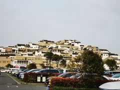 -普陀山雷迪森庄园