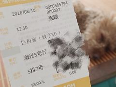 -AMG海上明珠影城(上海环球港RealDCinema店)