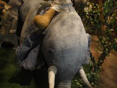 -济州岛泰迪熊博物馆