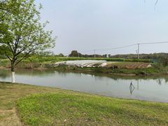 -尚贤河湿地