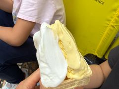 -柠檬车露(卖草地店)