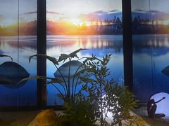 -大桶大足浴(山钢和润荟店)
