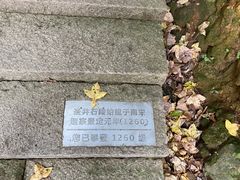 -瑞安圣井山景区