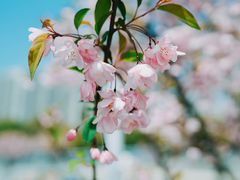 -汉江湾体育公园