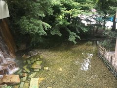 -新高轮格兰王子大酒店
