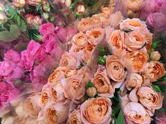 -循礼门鲜花花市(武汉循礼门店)