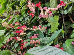 -西关84·History·Art·Cafe