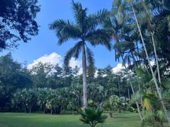 -中国科学院西双版纳热带植物园
