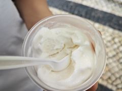 -洪馨椰子