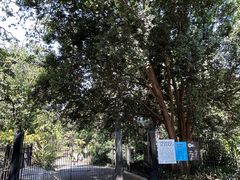 -墨尔本皇家植物园