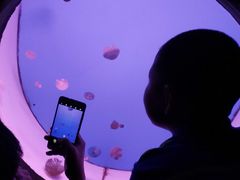 -常州海昌海洋探索馆