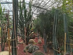 -呀路古热带植物园