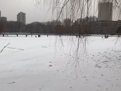 -二一九公园