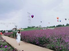 -紫颐香薰山谷景区