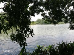 -南国桃园旅游度假区