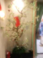 点击看大图 -芳朵美容养生SPA