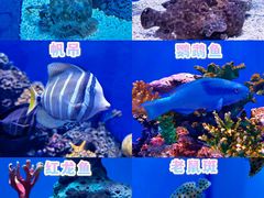 -石家庄极地海洋世界