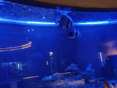 -上和臻品中国菜(花园街店)