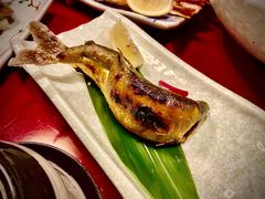 -初花·日本料理