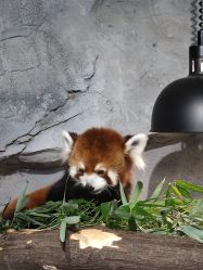 -Zoolung Zoolung动物主题公园(海信广场店)