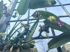 -东莞植物园