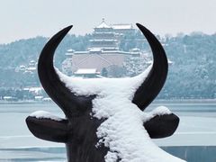 -颐和园