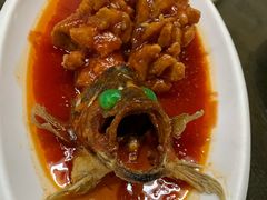 松鼠桂鱼-协和菜馆(凤凰街店)