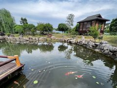 -鹅湖玫瑰文化园