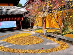 -龙华寺