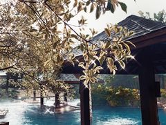 -厦门日月谷温泉渡假村