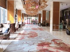 -廊坊固安福朋喜来登酒店