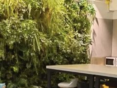 -引领英语·成人口语·雅思托福