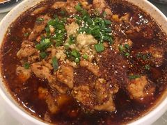 水煮肉片-金彤川菜(西稍门店)