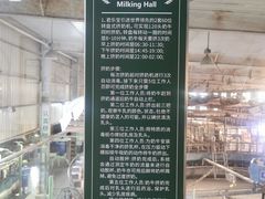 -君乐宝优致牧场