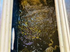 -鸿顺老铁锅美蛙鱼府(解放碑店)