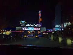-枫花园汽车电影院(朝阳公园店)