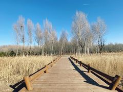 -东郊湿地公园