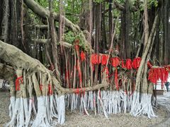 -胡里山炮台